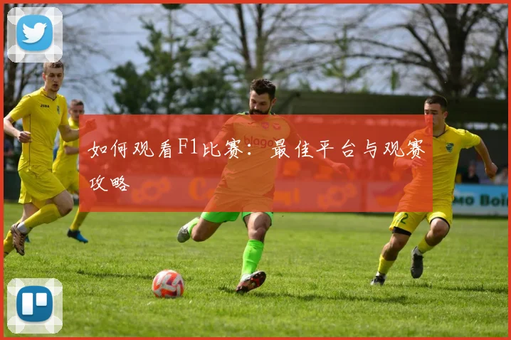 如何观看F1比赛:最佳平台与观赛攻略